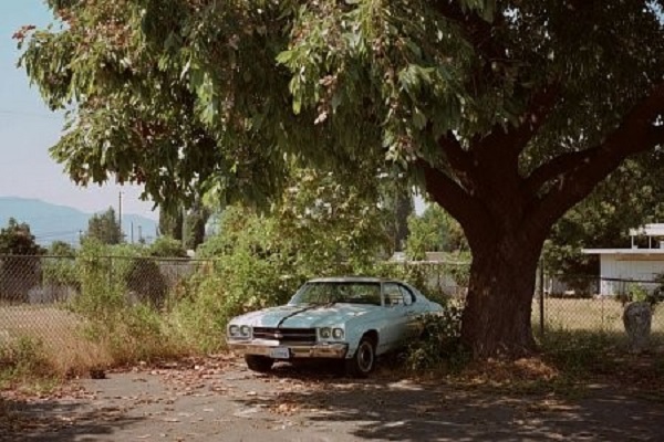Eco-Friendly Car Ownership: Myth vs Reality Fuel Economy